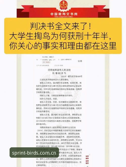 小鸟APP下载渠道全面解析：官方入口与第三方平台深度对比