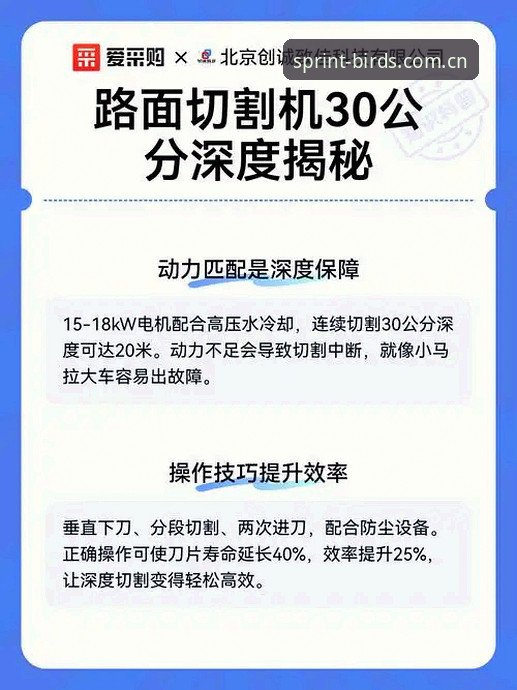 深度揭秘：小鸟安卓版下载背后的极速娱乐真相与用户必知细节