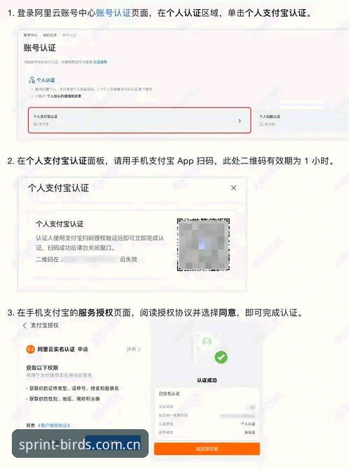 小鸟注册入口全面解析：从账户创建到极速登录的实战操作指南